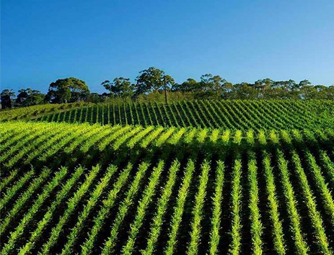 Australian Wine BLACKWOOD VALLEY SCENIC HOME OF HIDDEN TREASURES
